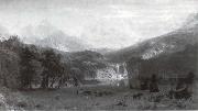 Albert Bierstadt Die Rocke Mountains oil painting on canvas